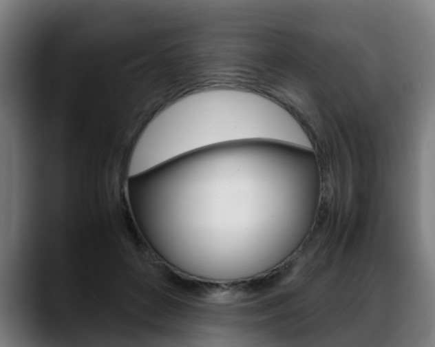X0000088660504200705251005