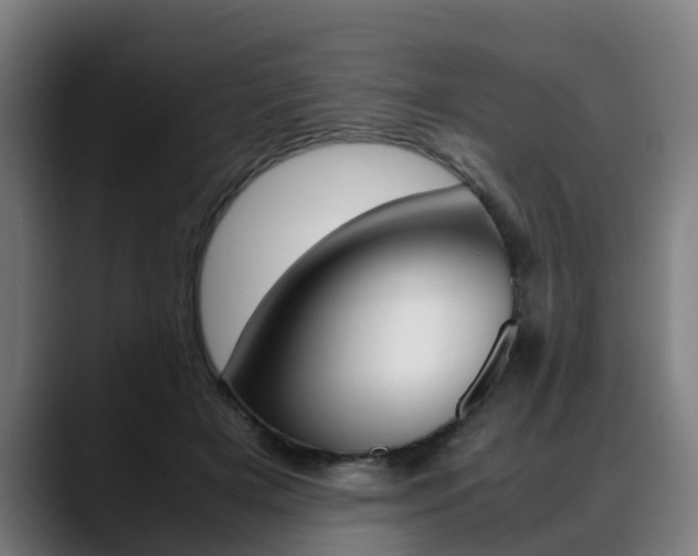 X0000088660505200705251005