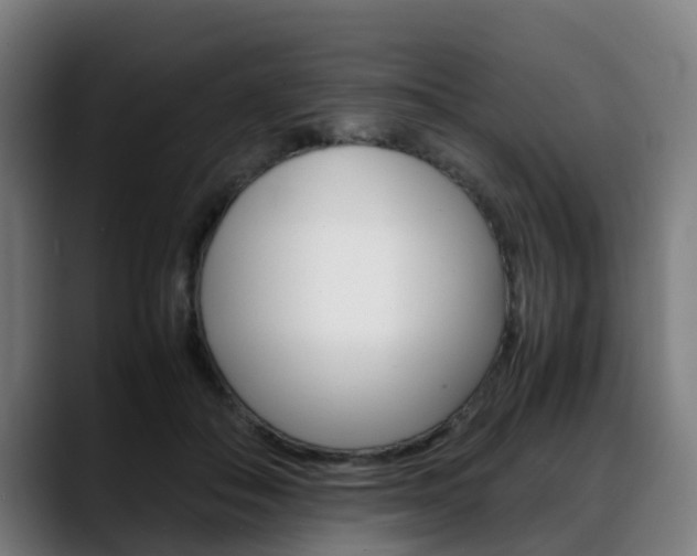 X0000088660506200705251005