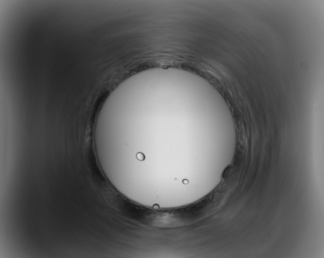 X0000088660507200705251005