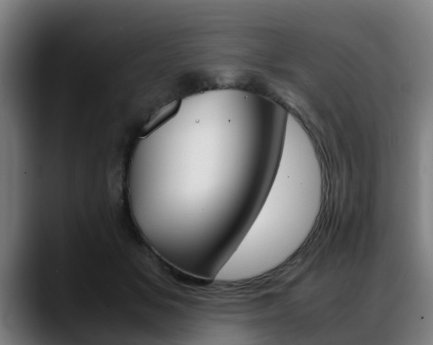 X0000088660509200705251005