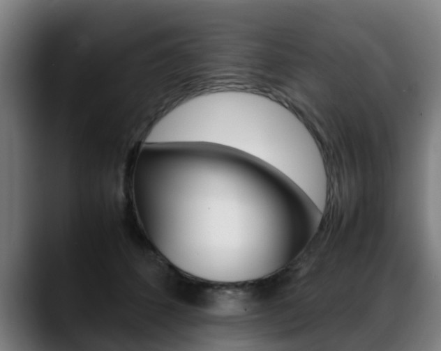 X0000088660512200705251005
