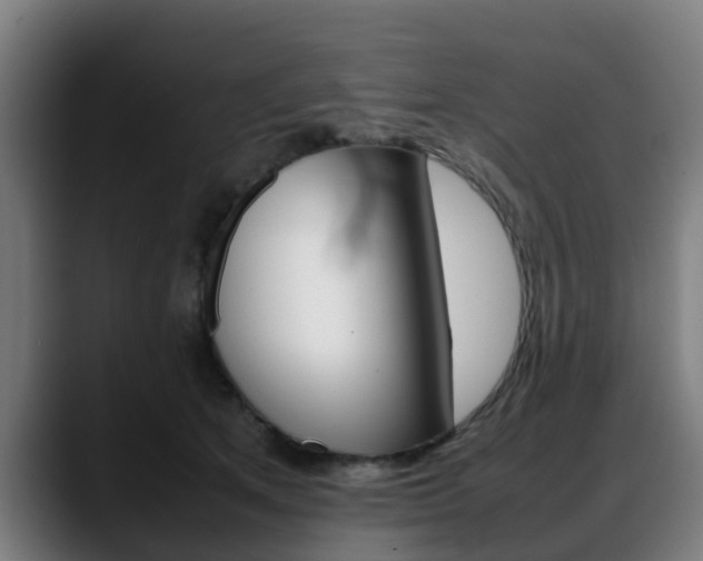 X0000088660513200705251005