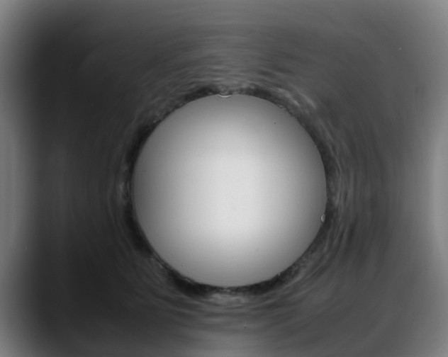 X0000088660515200705251005