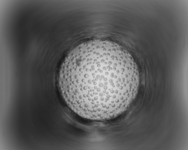 X0000088660519200705251005