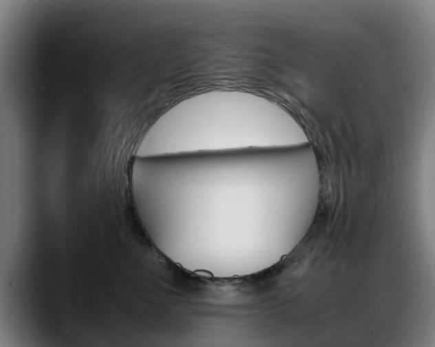 X0000088660523200705251005
