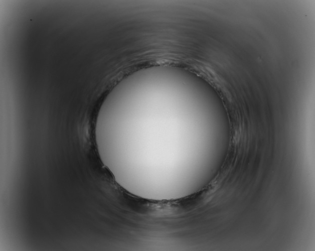 X0000088660524200705251005