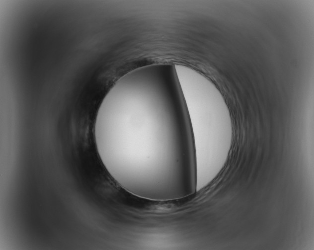 X0000088660525200705251005