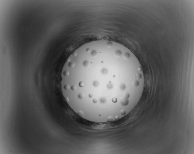 X0000088660527200705251004