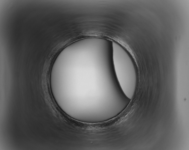 X0000088660529200705251004