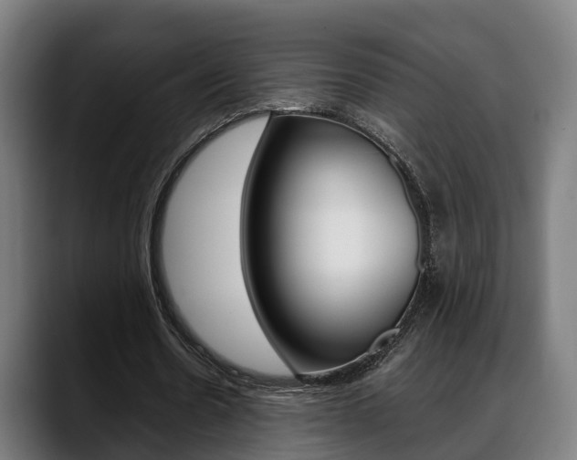 X0000088660530200705251004