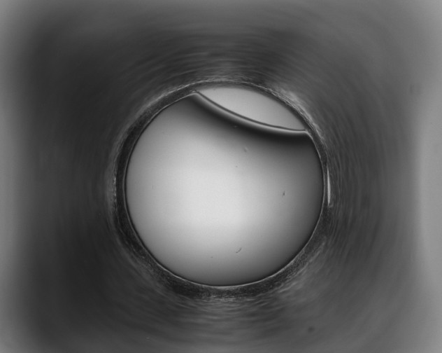 X0000088660531200705251004