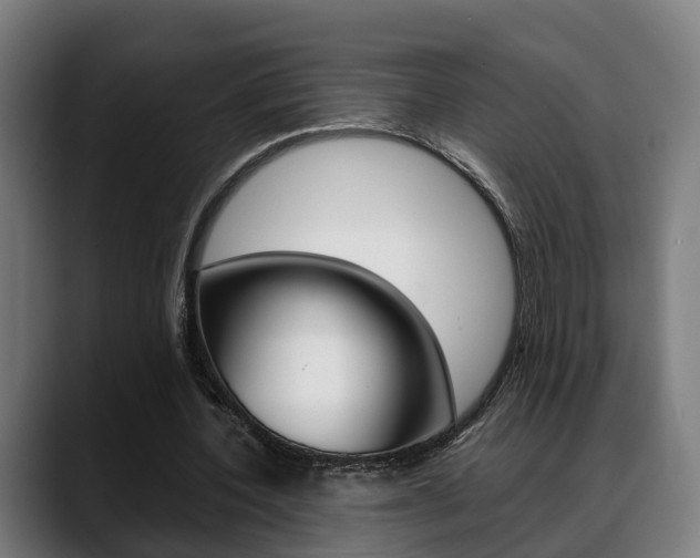 X0000088660532200705251004