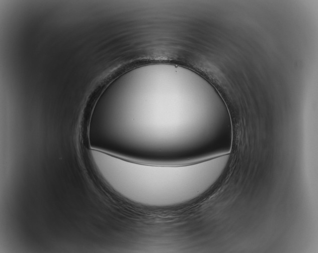 X0000088660536200705251004