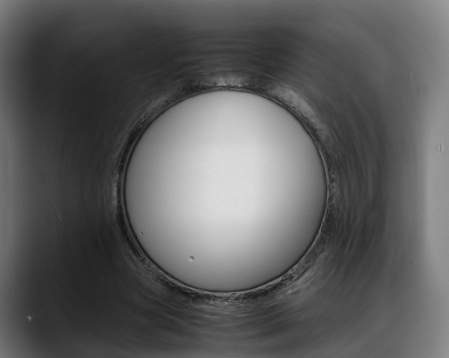 X0000088660537200705251004