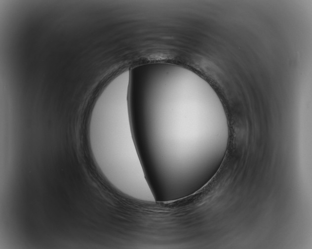 X0000088660539200705251004