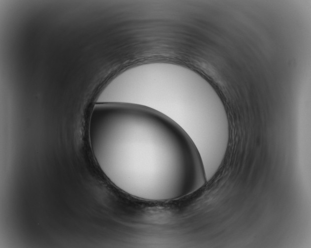 X0000088660544200705251004