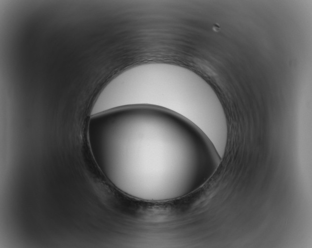 X0000088660546200705251004