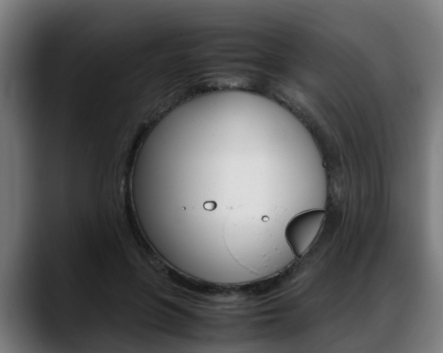 X0000088660551200705251004