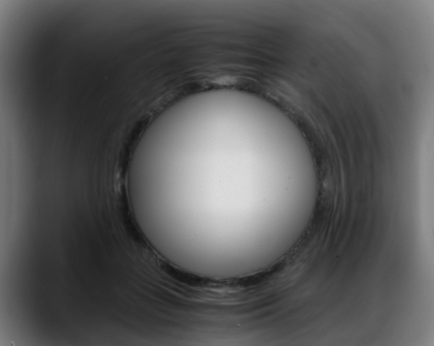 X0000088660555200705251004