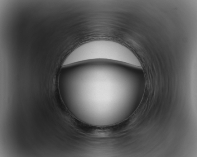X0000088660556200705251004