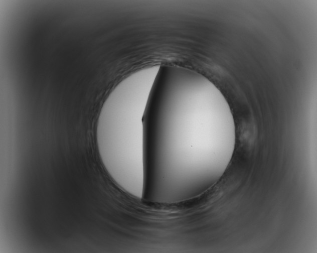 X0000088660559200705251004