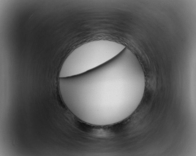 X0000088660561200705251004