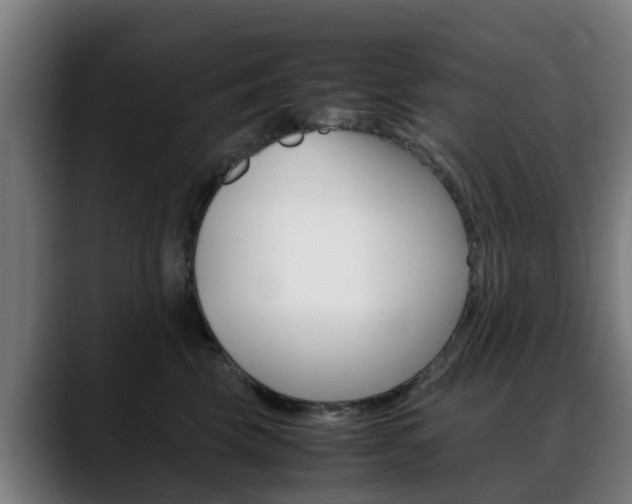 X0000088660569200705251004