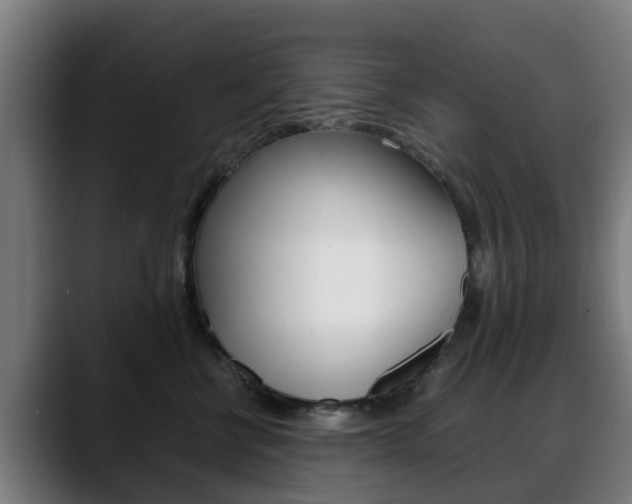 X0000088660570200705251004
