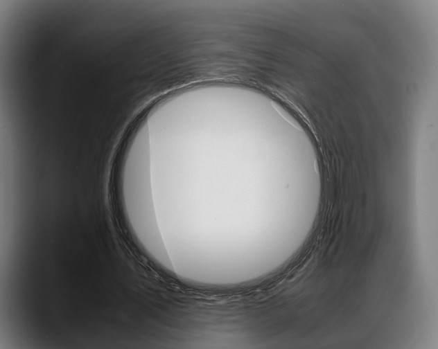 X0000088660579200705251004