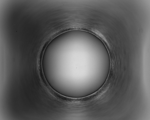 X0000088660581200705251004
