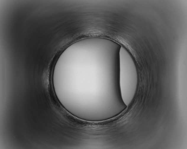 X0000088660582200705251004