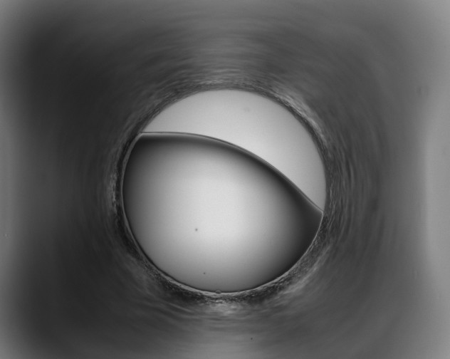 X0000088660585200705251004