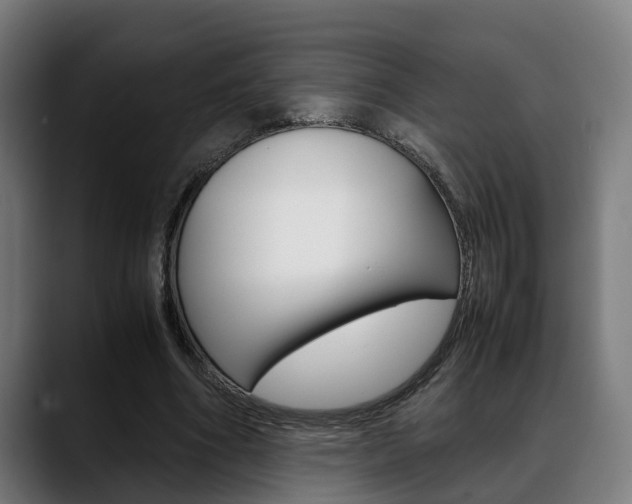 X0000088660586200705251004