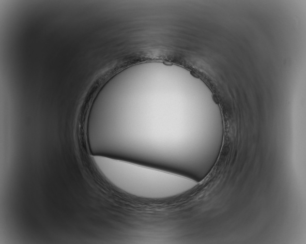 X0000088660587200705251004