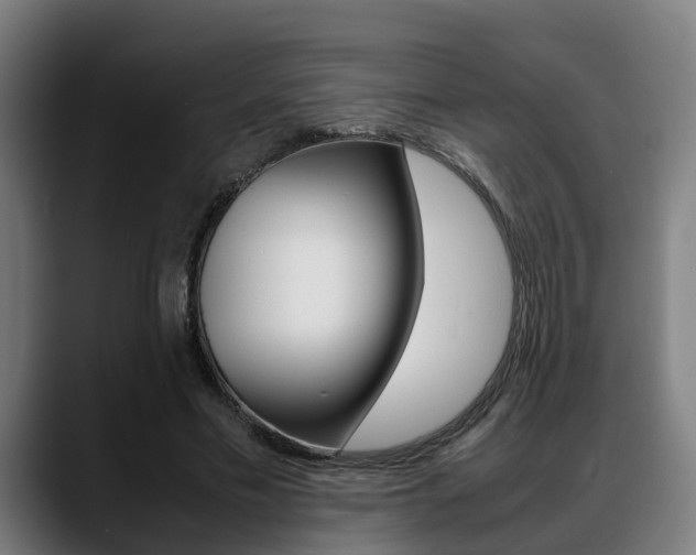 X0000088660589200705251004