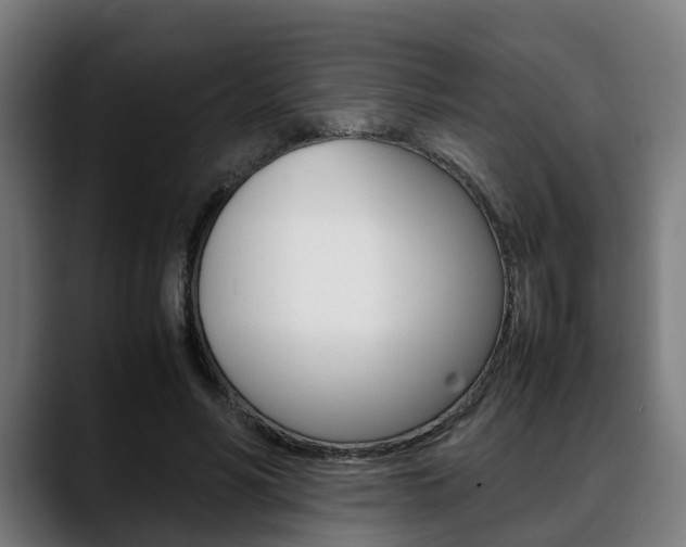 X0000088660590200705251004