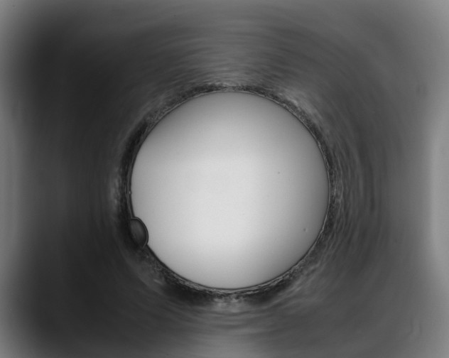 X0000088660591200705251004
