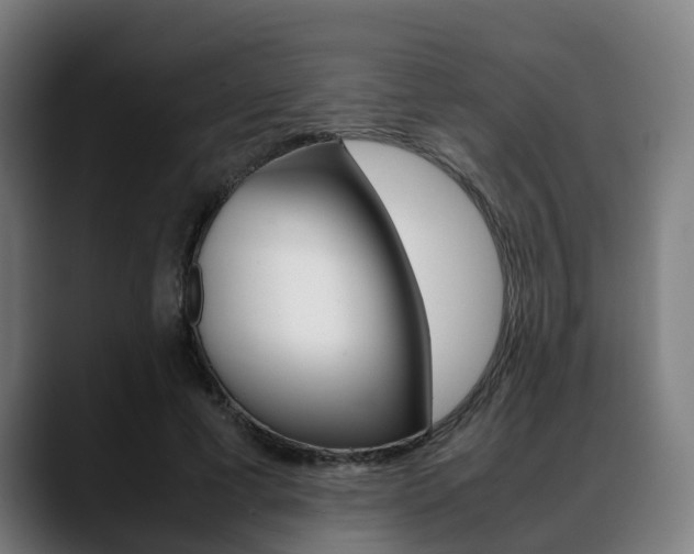 X0000088660593200705251004