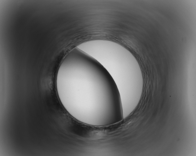 X0000088660595200705251004
