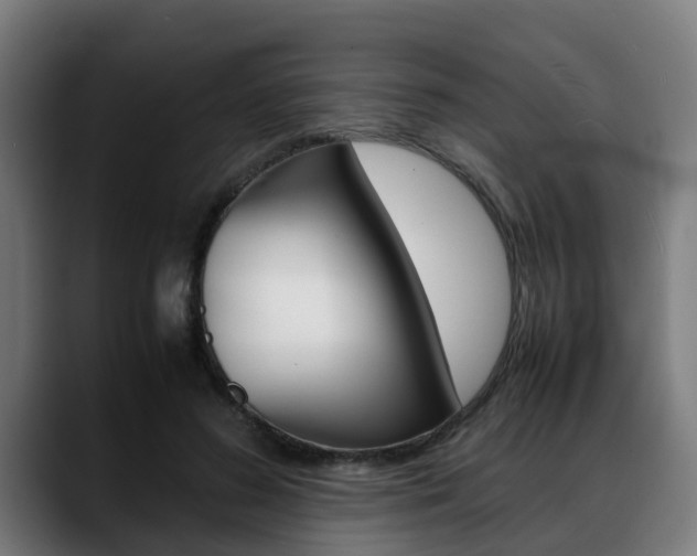 X0000088660596200705251004