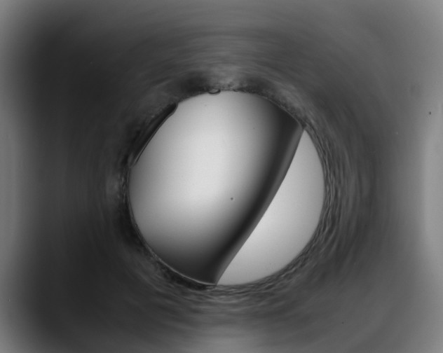 X0000088660601200705251004