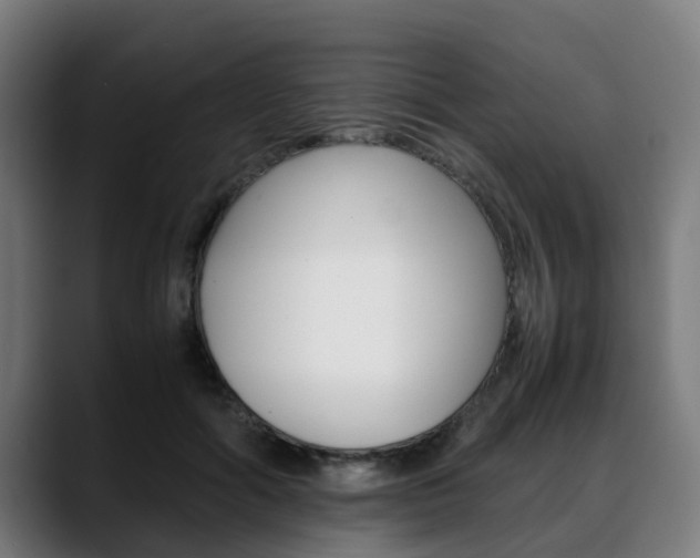 X0000088660602200705251004