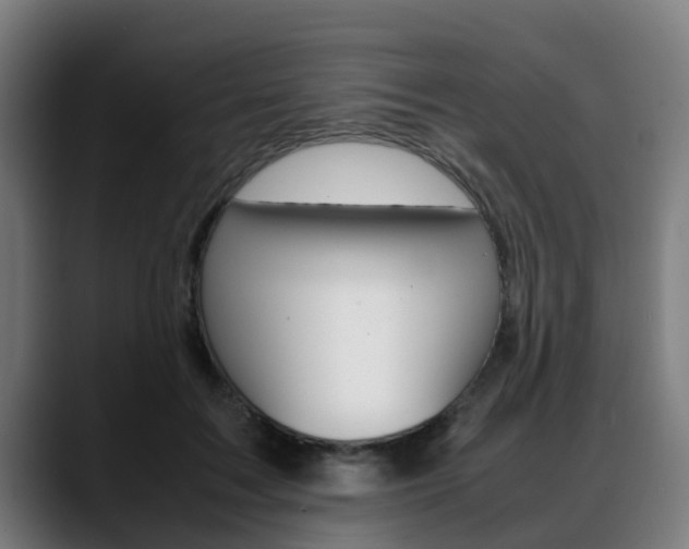 X0000088660603200705251004