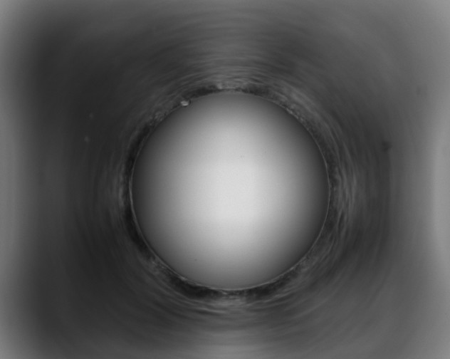 X0000088660604200705251003