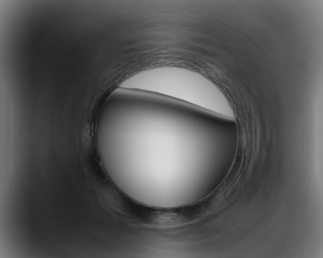 X0000088660605200705251003