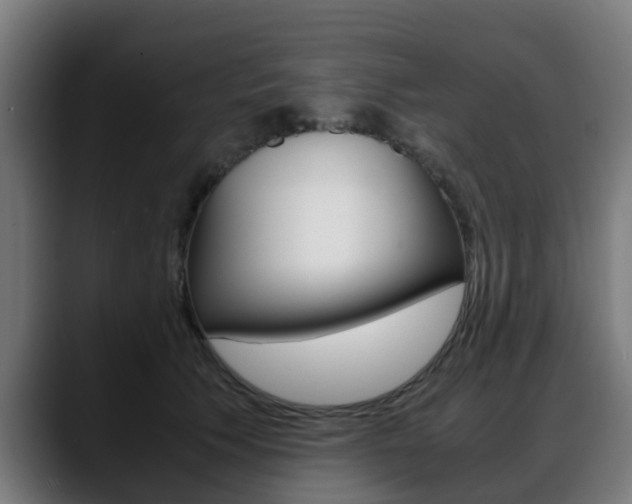 X0000088660609200705251003