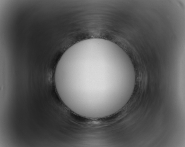 X0000088660610200705251003
