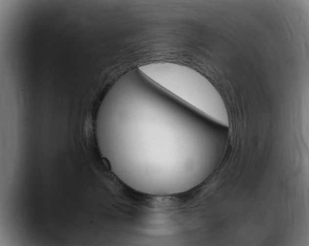 X0000088660623200705251003