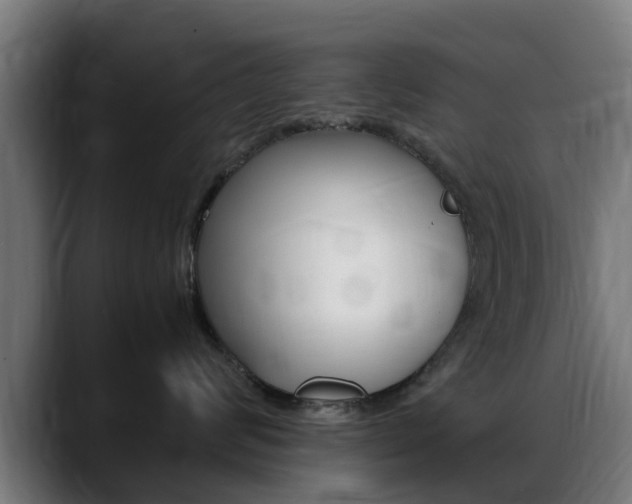 X0000088660624200705251003